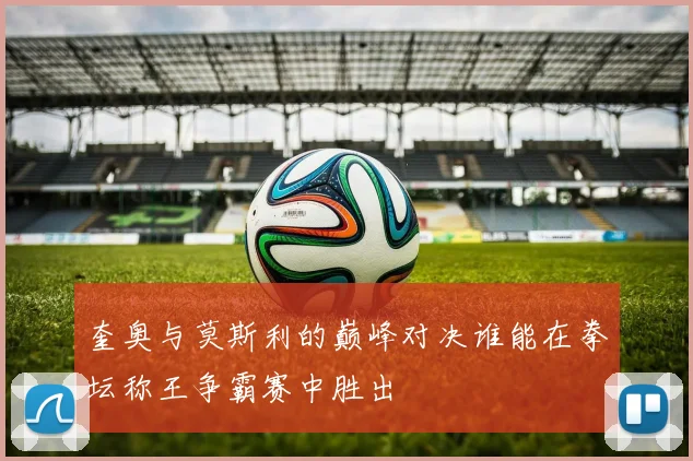 奎奥与莫斯利的巅峰对决谁能在拳坛称王争霸赛中胜出