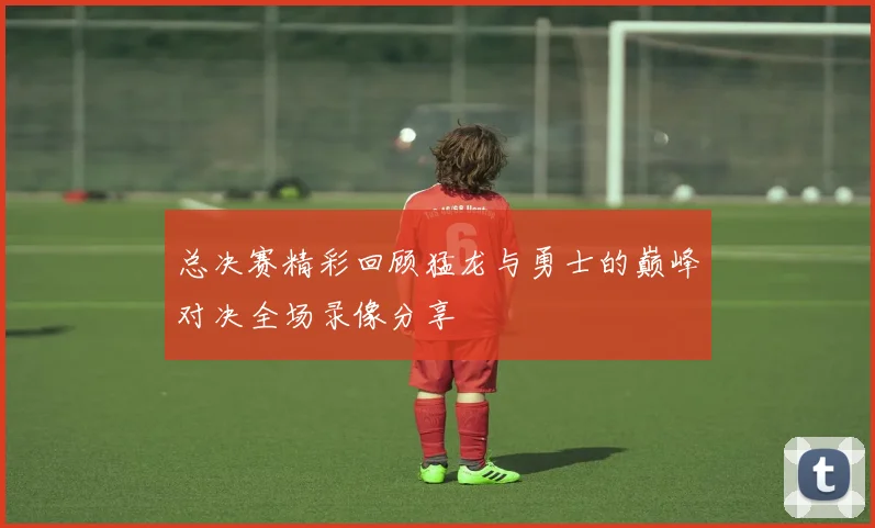 总决赛精彩回顾猛龙与勇士的巅峰对决全场录像分享