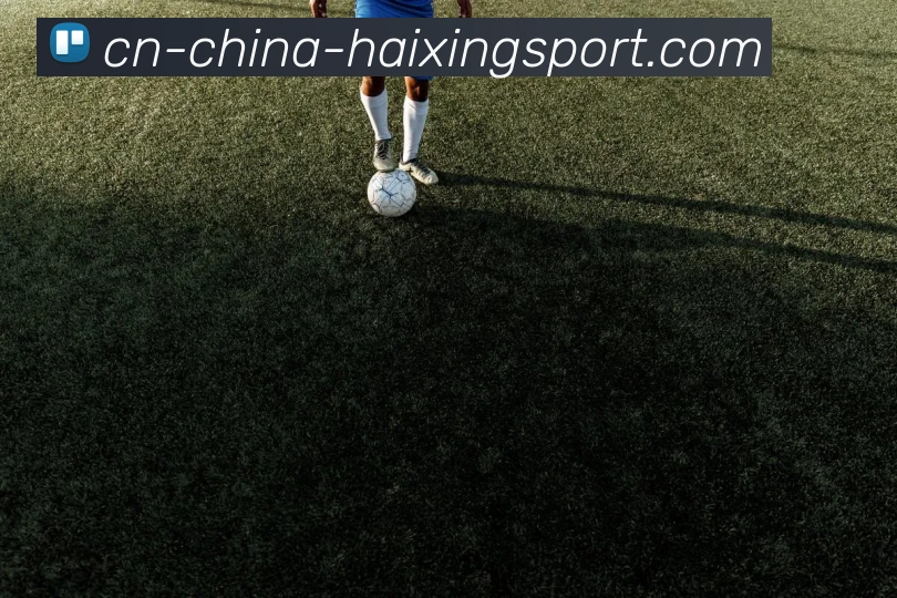 海星体育品牌故事